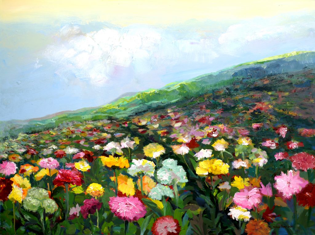 Different colours of Flowers