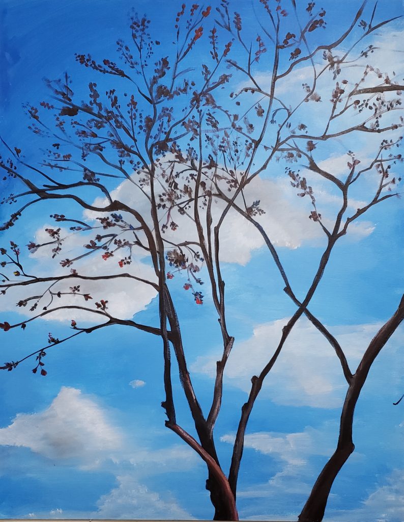 Skyview through leave less tree